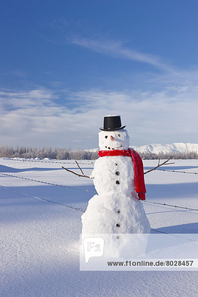 stehend  Tag  Frische  Amerika  Hut  Schal  schwarz  hoch  oben  rot  Sonnenlicht  Kleidung  Verbindung  Alaska  Schnee  Schneemann