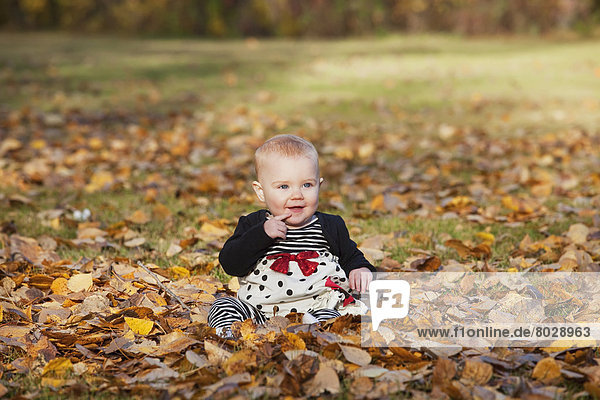 Portrait of a baby girl sitting in the fallen leaves in a park in autumn Edmonton alberta canada