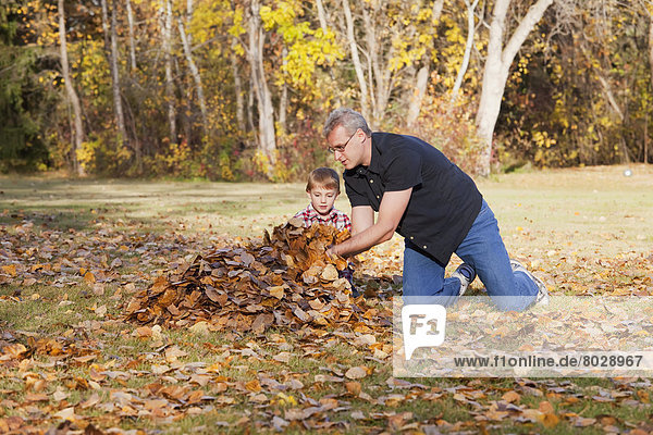 Grandfather and grandson playing in the leaves in a park in autumn Edmonton alberta canada