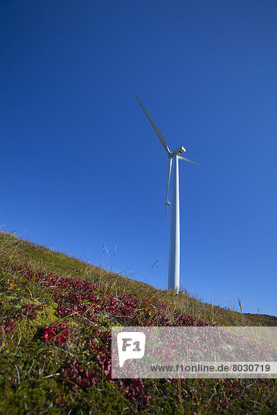 Windturbine Windrad Windräder Amerika Verbindung Kodiak Alaska Alaska
