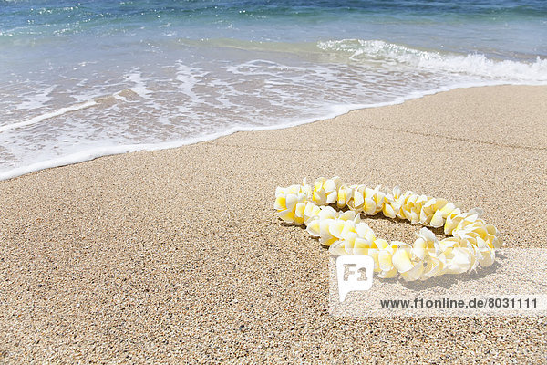 Amerika  Blume  Strand  Verbindung  Hawaii  Honolulu  lei  Oahu