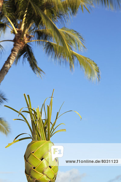 Palmenblatt Amerika Produktion Geflochtener Zopf Verbindung Ananas Hawaii Oahu Waikiki