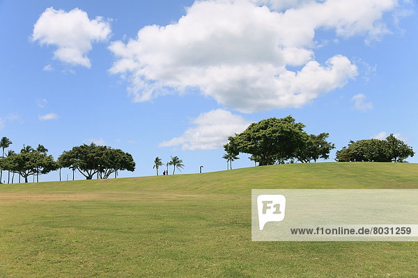 entfernt  Amerika  Baum  offen  Feld  Verbindung  Gras  Hawaii  Honolulu