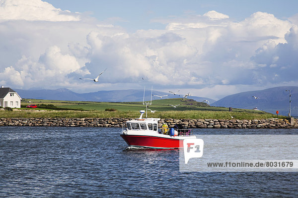 A boat in dingle harbour Dingle county kerry ireland