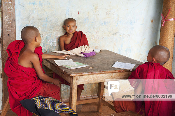 sitzend  Buch  offen  Myanmar  Tisch  jung  Mönch  Shan Staat