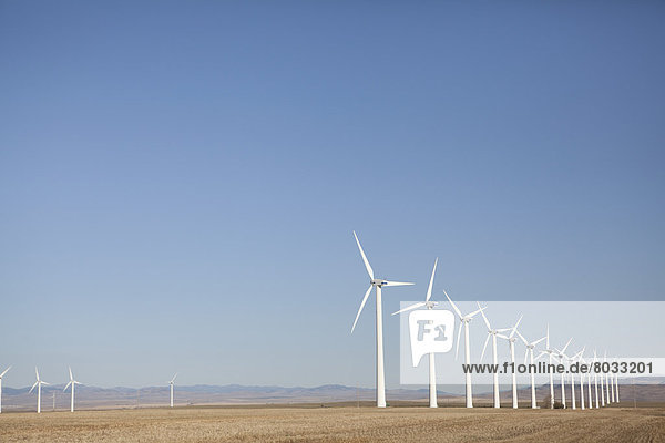 Windturbine Windrad Windräder Alberta