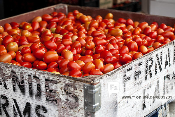 Tal  Tomate  Außenaufnahme  Rom  Hauptstadt  Markt