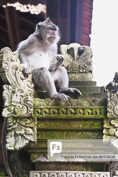 Monkey Sitting On Temple Column  Sacred Monkey Forest  Ubud  Bali  Indonesia