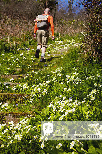 Tourist on flowery path  Guernsey  England