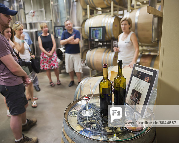 Wine tour and tasting at Boulder Creek Winery  Boulder  Colorado  USA