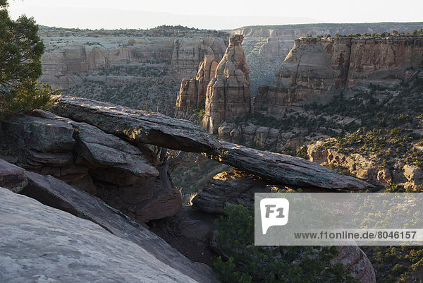 Magnificent views of sheer rock canyons and red sandstone monoliths Colorado National Monument Colorado USA
