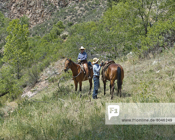 Horseback riding at Sylvan Dale Ranch  Loveland  Colorado  USA