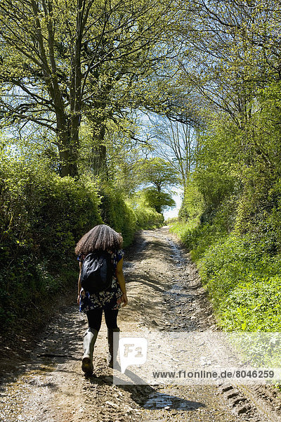 Rear view of woman walking in countryside  Devon  England  United Kingdom
