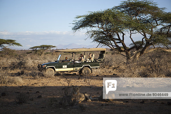 camping  Reichtum  Safari  Gast  Geländewagen  Kenia