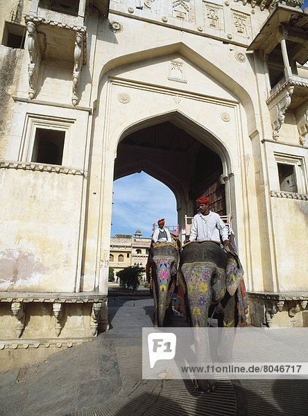 Mann  fahren  Palast  Schloß  Schlösser  Torbogen  Elefant  Festung  Bernstein  Indien  Jaipur  Rajasthan