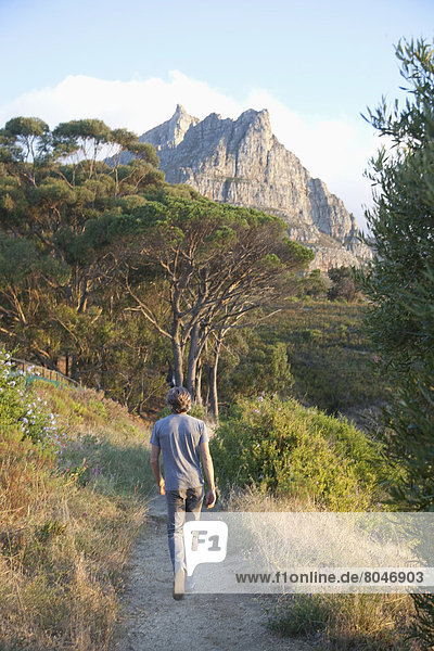 South Africa  Man walking in park at base of Table Mountain at sunset  Cape Town