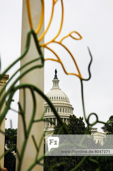 Modern sculpture at United States Botanic Garden with US Capital building in background Washington DC USA