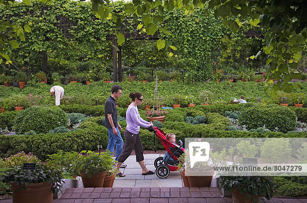 Female gardener and visitors at National Herb Garden and cottage garden U.S. National Arboretum Washington DC USA