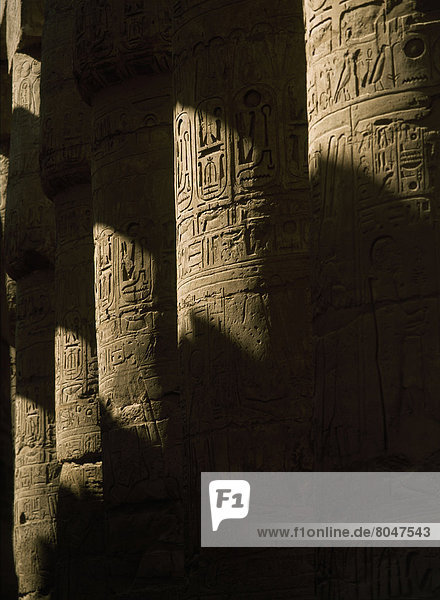 Korridor  Korridore  Flur  Flure  Halle  groß  großes  großer  große  großen  Ägypten  Karnak  Luxor