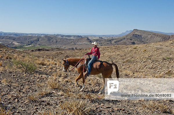 Men horseback riding among desert landscape  Texas  USA