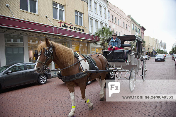 USA  South Carolina  Horse drawn carriage on street  Charleston
