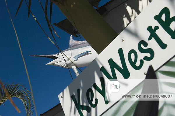 Marlin sign advertising fishing tours  Key West  Florida Keys  Florida  USA
