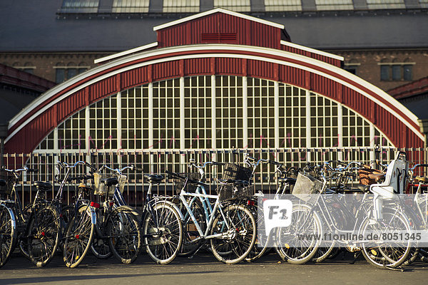 Dänemark  frontal  Kopenhagen  Hauptstadt  Mittelpunkt  Fahrrad  Rad  Haltestelle  Haltepunkt  Station
