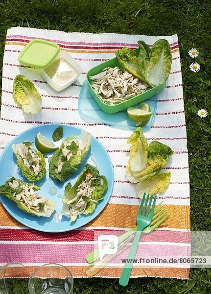 Hähnchensalat zum Picknick
