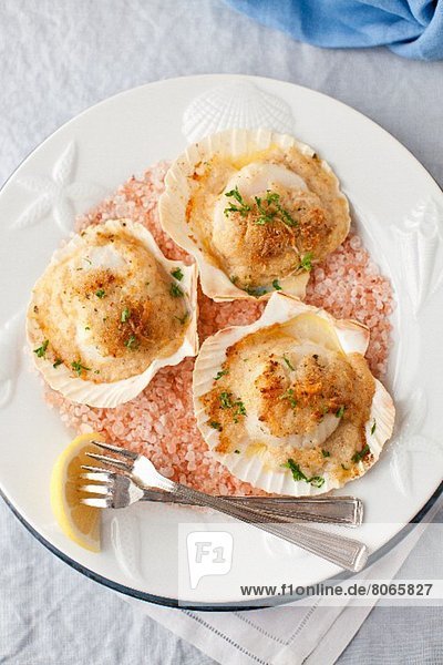 Baked Scallops With Cheese And Wine Sauce On Pink Salt On A White Plate