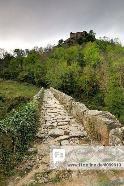 Mittelalter  Stein  strecken  Festung  Brücke  Fluss  Heiligtum  Ansicht  Weg