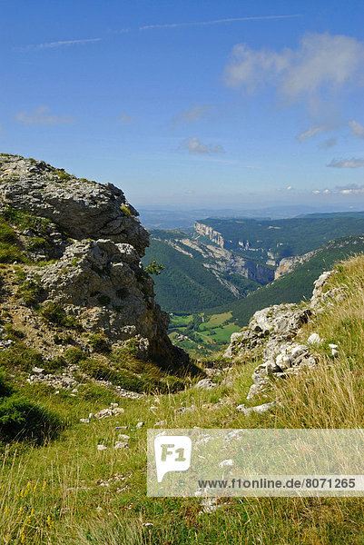 Landscape of the Vercors Massif  west side  near the Ambel Plateau (26)