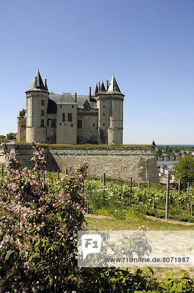 Palast  Schloß  Schlösser  Großstadt  Fluss  Loire  überhängen