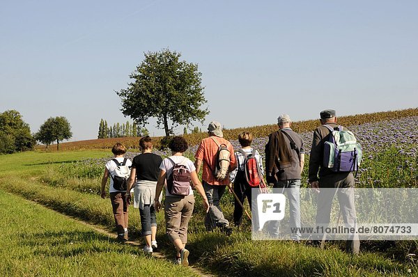 Group of over-fifty hikers in the countryside  in the surroundings of Vallet (Loire-Atlantique department)  2011/10.