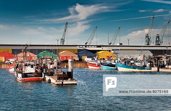 Farbaufnahme Farbe Hafen Fisch Pisces Frankreich Gebäude Produktion angeln 4 Köchin alt Jahr