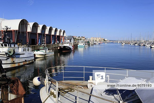 Arcachon (Gironde Aquitaine France): the fishing port and its boats
