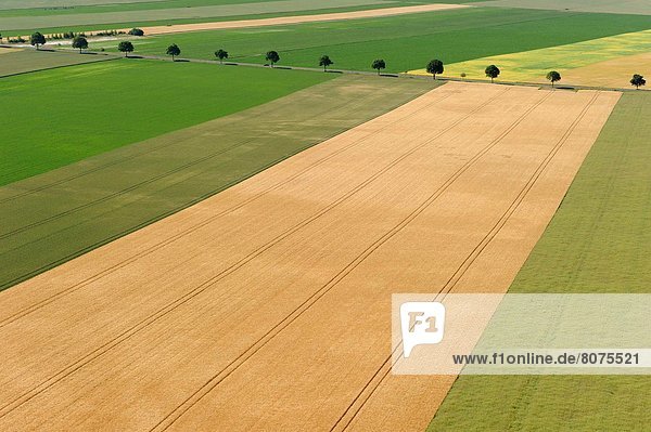 Feuerwehr  Ländliches Motiv  ländliche Motive  Feld  Landschaft  Ansicht  Luftbild  Fernsehantenne  gepflegt  Marne