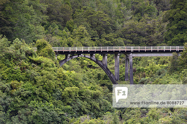 Eisenbahnbrücke im Urwald