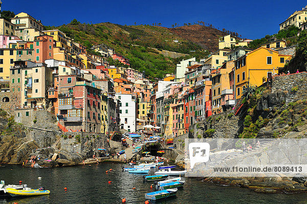 Harbour and the village of Riomaggiore built on the cliffs