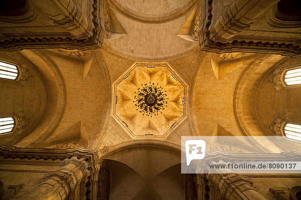 Interior and ceiling of the Cathedral of San Cristobal