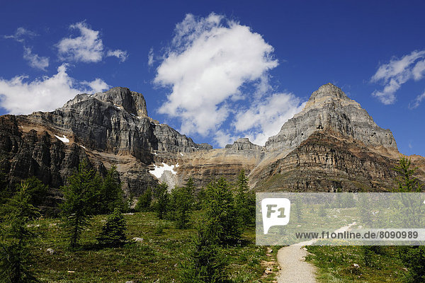Wanderweg in den Rocky Mountains