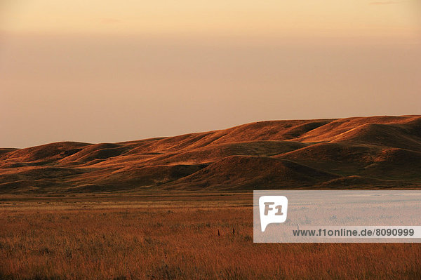 Gentle rolling hills of the prairie