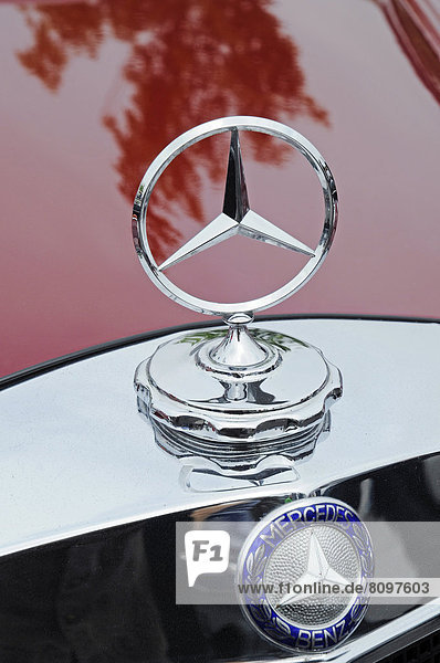 Mercedes star  Mercedes-Benz  vintage car