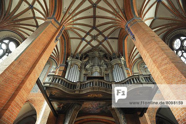 Gotisches Deckengewölbe  die Orgel mit einem barockem Orgelprospekt  Pfarrkirche St. Marien