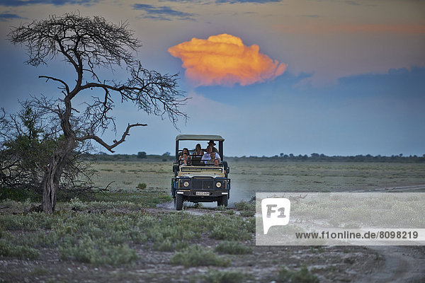 Touristen im Geldändewagen  Central Kalahari Game Reserve  Botswana  Südafrika  Afrika