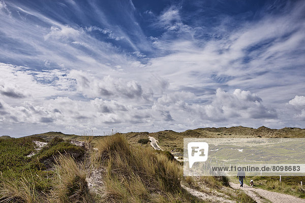 Man with dog in dunes  Sylt  Schleswig-Holstein  Germany  Europe