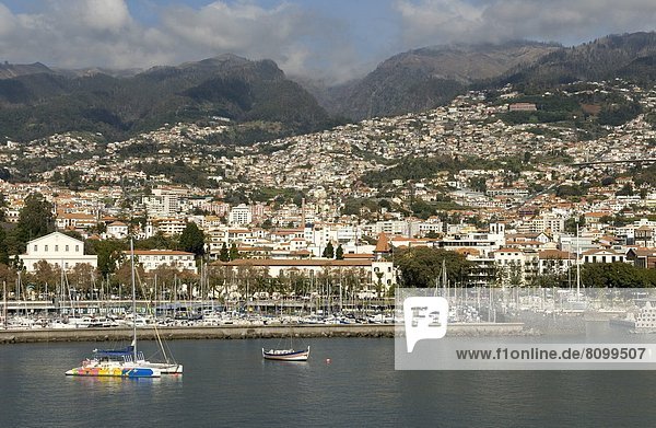 Funchal  Madeira  Portugal  Atlantik  Europa