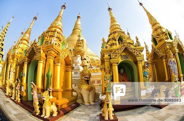 Fisheye  Fotografie  Altar  Myanmar  Asien  Pagode