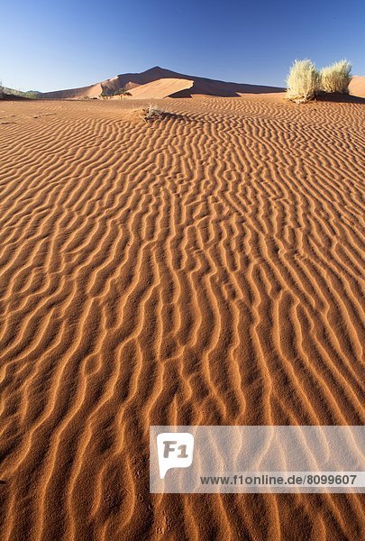 Wüste  Sand  gewellt  1  Namibia  Namib Naukluft Nationalpark  Düne  Namib  Afrika  antik  Sossusvlei