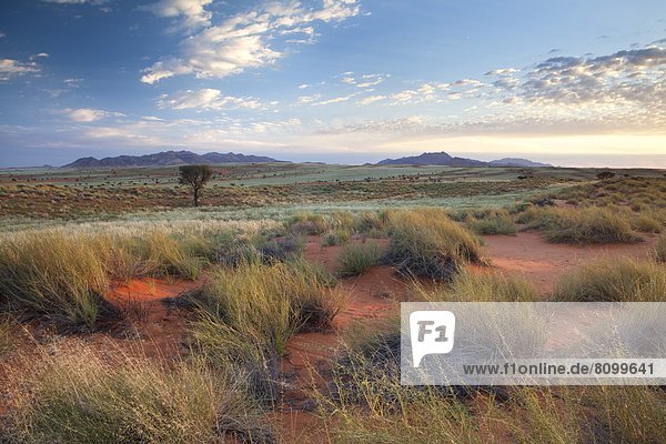 Anschnitt  Berg  Landschaft  Ehrfurcht  Sand  Ansicht  Namibia  Namib Naukluft Nationalpark  Düne  Namib  Reservat  Sandstein  Afrika