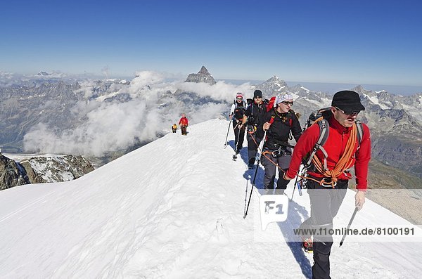 Climbers on Breithorn mountain  4164m  Matterhorn in background  Zermatt  Valais  Swiss Alps  Switzerland  Europe